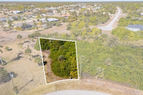 Land in Rotonda, Florida № 2160917 - photo 6