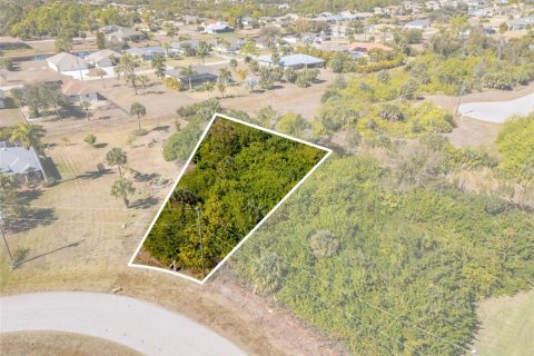 Land in Rotonda, Florida № 2160917 - photo 4