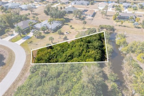 Land in Rotonda, Florida № 2160917 - photo 3