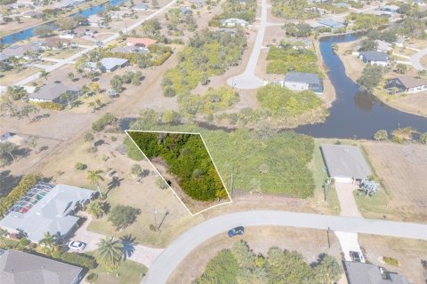 Land in Rotonda, Florida № 2160917 - photo 5