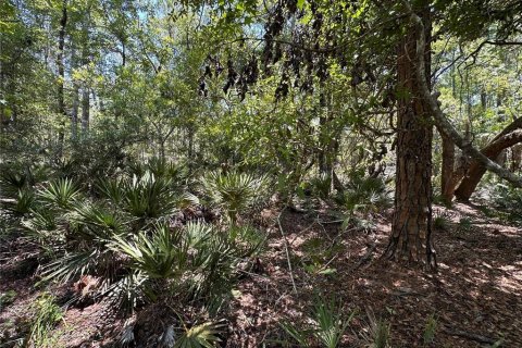 Terrain à vendre à Chiefland, Floride № 2108171 - photo 25
