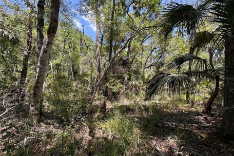 Terrain à vendre à Chiefland, Floride № 2108171 - photo 24