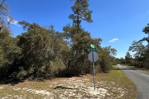 Terrain à vendre à Ocala, Floride № 2232900 - photo 4