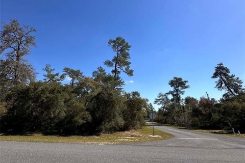 Terrain à vendre à Ocala, Floride № 2232900 - photo 6