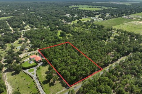 Terrain à vendre à Dunnellon, Floride № 2201973 - photo 4