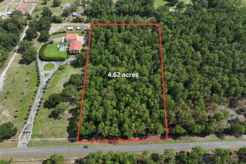 Land in Dunnellon, Florida № 2201973
