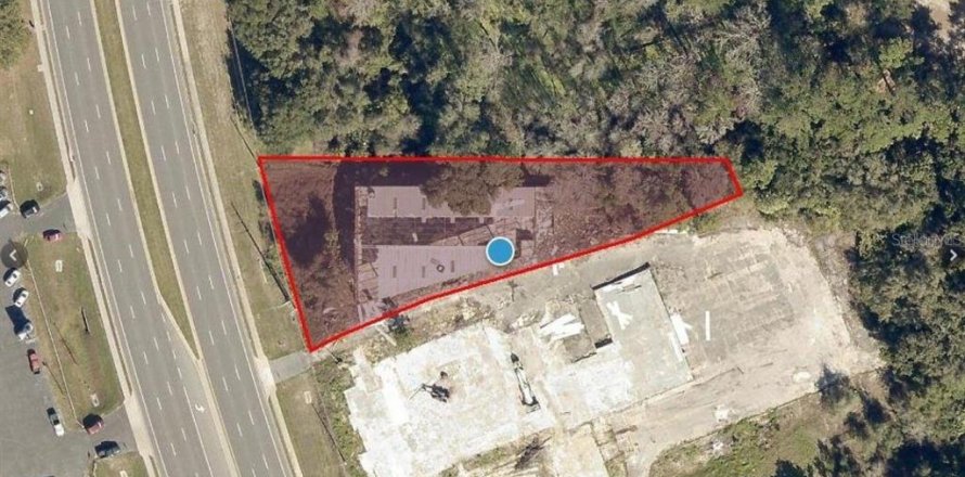 Immobilier commercial à Fruitland Park, Floride № 1911057