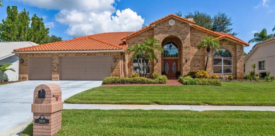 Casa en Palm Harbor, Florida 4 dormitorios, 249.35 m2 № 2167119