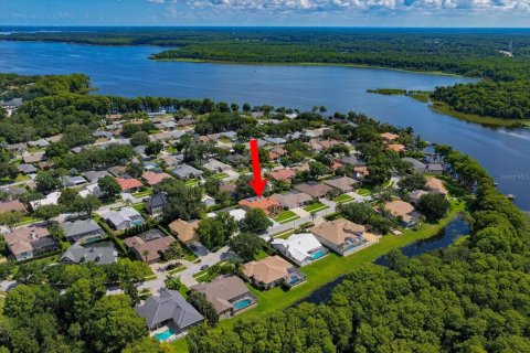 Casa en venta en Palm Harbor, Florida, 4 dormitorios, 249.35 m2 № 2167119 - foto 3