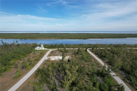Land in Port Charlotte, Florida № 2159784 - photo 7