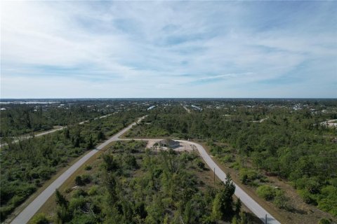 Land in Port Charlotte, Florida № 2159784 - photo 11