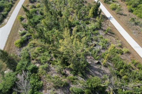 Land in Port Charlotte, Florida № 2159784 - photo 10