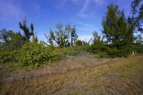 Land in Port Charlotte, Florida № 2159784 - photo 4