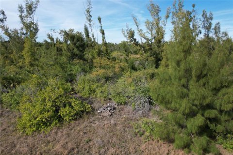 Land in Port Charlotte, Florida № 2159784 - photo 13