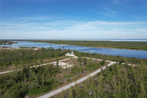 Land in Port Charlotte, Florida № 2159784 - photo 5