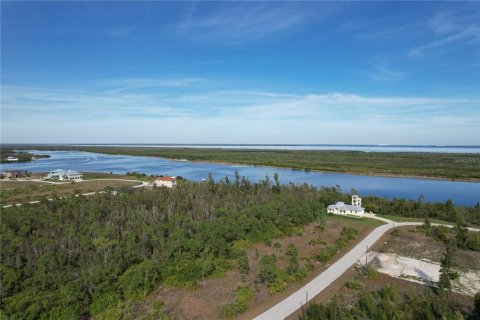 Land in Port Charlotte, Florida № 2159784 - photo 12