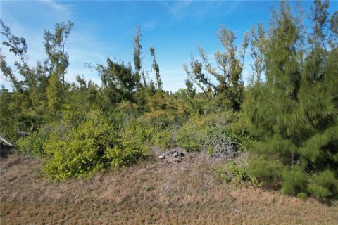 Land in Port Charlotte, Florida № 2159784 - photo 2