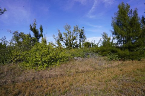 Land in Port Charlotte, Florida № 2159784 - photo 3