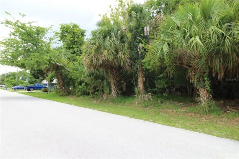Land in Palm Coast, Florida № 842964 - photo 2