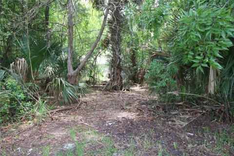 Land in Palm Coast, Florida № 842964 - photo 6