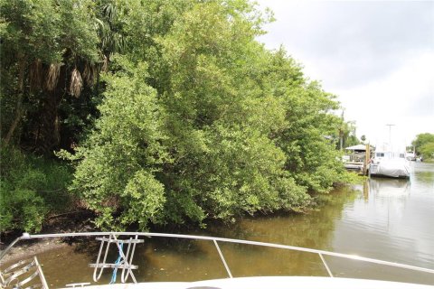 Land in Palm Coast, Florida № 842964 - photo 4