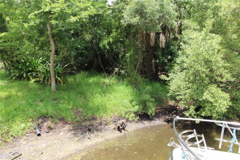 Land in Palm Coast, Florida № 842964 - photo 5
