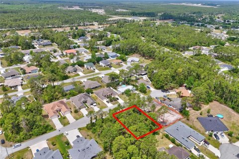 Land in Palm Coast, Florida № 1658367 - photo 16