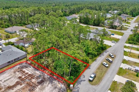 Land in Palm Coast, Florida № 1658367 - photo 4