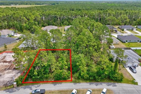 Land in Palm Coast, Florida № 1658367 - photo 1
