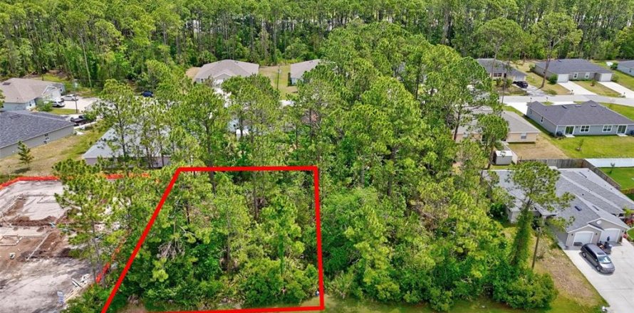Land in Palm Coast, Florida № 1658367