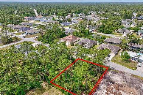 Land in Palm Coast, Florida № 1658367 - photo 6