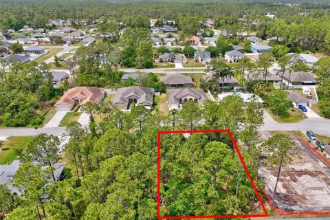 Land in Palm Coast, Florida № 1658367 - photo 7