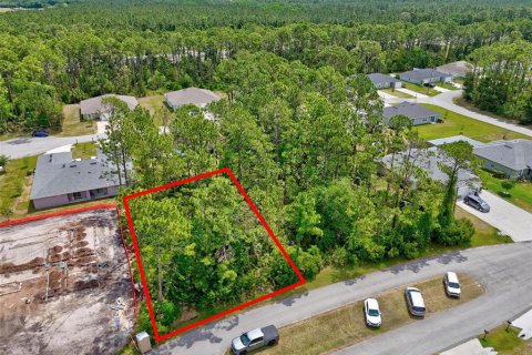 Land in Palm Coast, Florida № 1658367 - photo 3