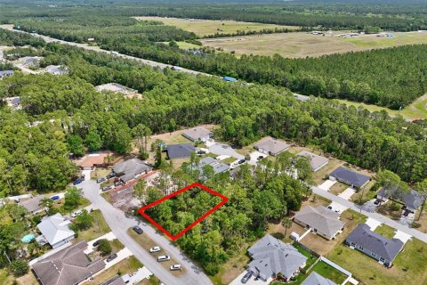 Land in Palm Coast, Florida № 1658367 - photo 13
