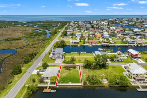 Land in Hernando Beach, Florida № 1805102 - photo 8