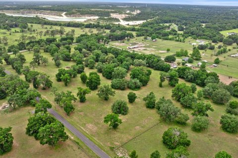 Land in Reddick, Florida № 1742789 - photo 8