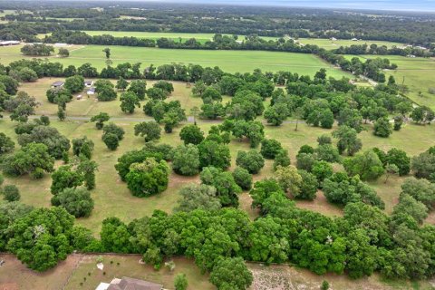 Land in Reddick, Florida № 1742789 - photo 5