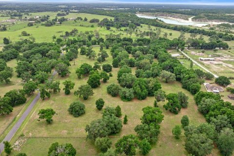 Land in Reddick, Florida № 1742789 - photo 7