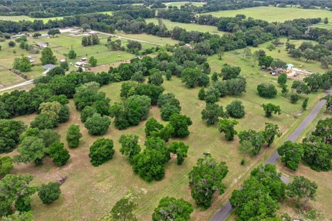 Land in Reddick, Florida № 1742789 - photo 2