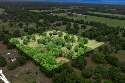 Land in Reddick, Florida № 1742789 - photo 1