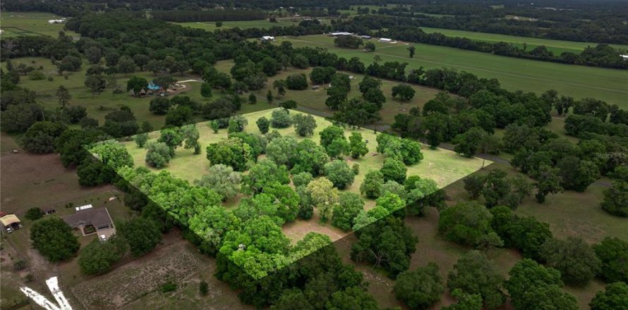 Land in Reddick, Florida № 1742789