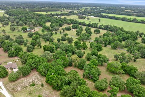 Land in Reddick, Florida № 1742789 - photo 4