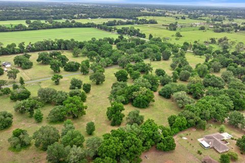Land in Reddick, Florida № 1742789 - photo 6