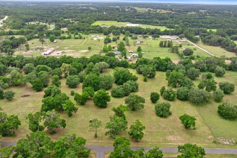 Land in Reddick, Florida № 1742789 - photo 10
