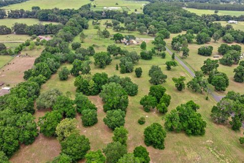 Land in Reddick, Florida № 1742789 - photo 3