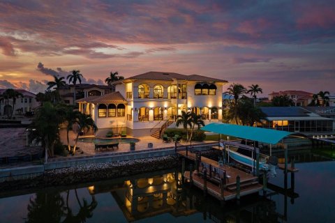 Villa ou maison à vendre à Saint Petersburg, Floride: 3 chambres, 341.23 m2 № 1915535 - photo 3