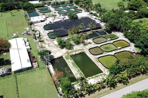 Commercial property in Homestead, Florida № 1753895 - photo 5