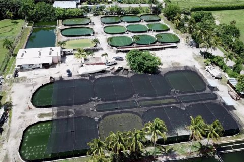 Commercial property in Homestead, Florida № 1753895 - photo 9