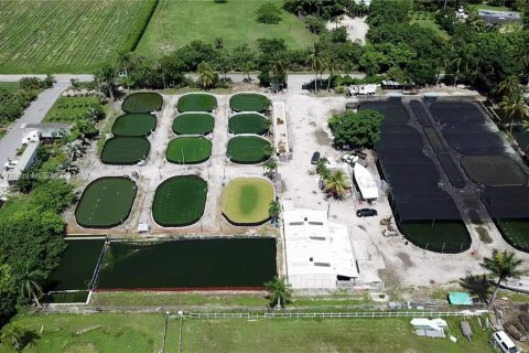 Commercial property in Homestead, Florida № 1753895 - photo 6