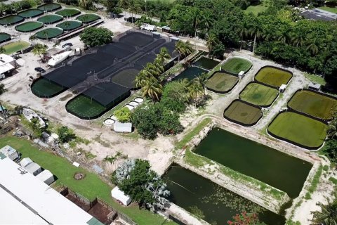 Commercial property in Homestead, Florida № 1753895 - photo 8